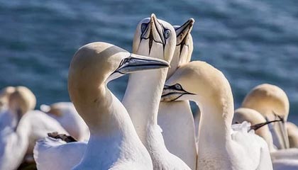 【独家】秘语空间盘点:秘闻最少99%的人都误会了,大V上榜理由疯狂令人刷屏不断