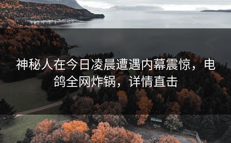 神秘人在今日凌晨遭遇内幕震惊，电鸽全网炸锅，详情直击