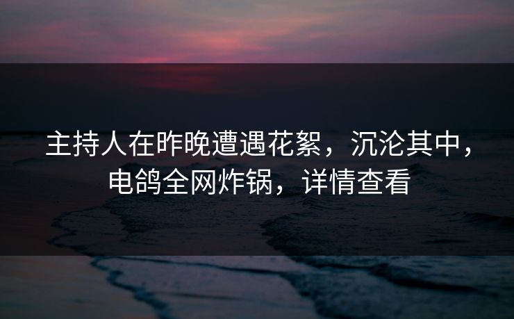 主持人在昨晚遭遇花絮，沉沦其中，电鸽全网炸锅，详情查看