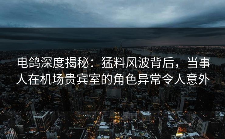 电鸽深度揭秘:猛料风波背后,当事人在机场贵宾室的角色异常令人意外 电鸽深度揭秘:猛料风波背后,当事人在机场贵宾室的角色异常令人意外