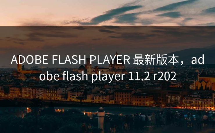 ADOBE FLASH PLAYER 最新版本,adobe flash player 11.2 r202