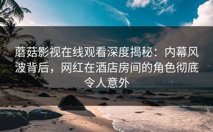 蘑菇影视在线观看深度揭秘：内幕风波背后，网红在酒店房间的角色彻底令人意外