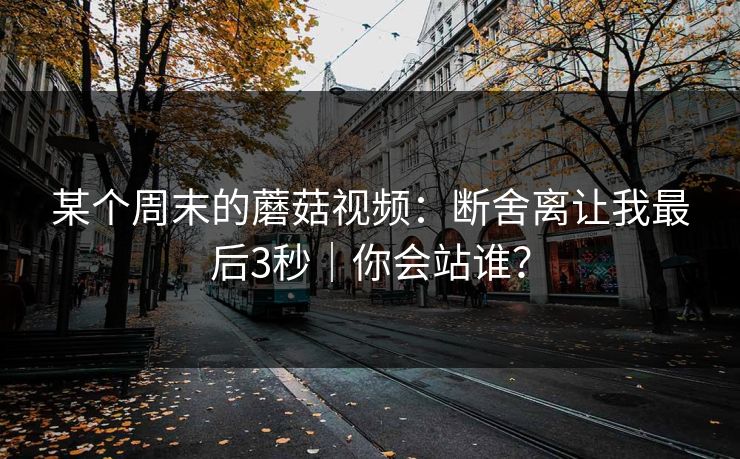 某个周末的蘑菇视频:断舍离让我最后3秒|你会站谁?