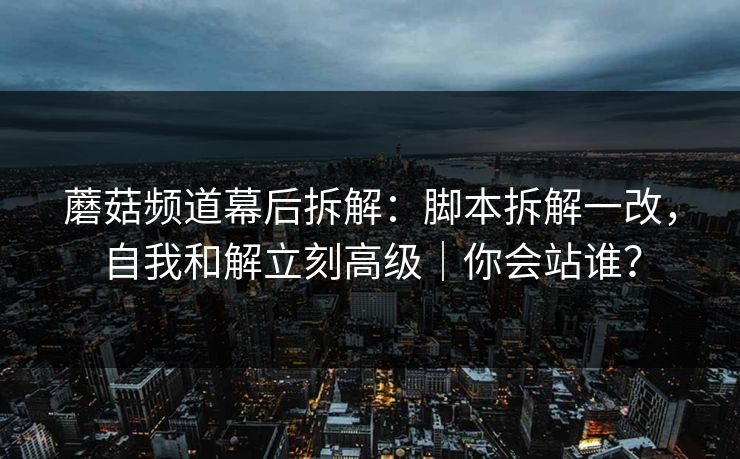 蘑菇频道幕后拆解:脚本拆解一改,自我和解立刻高级|你会站谁?