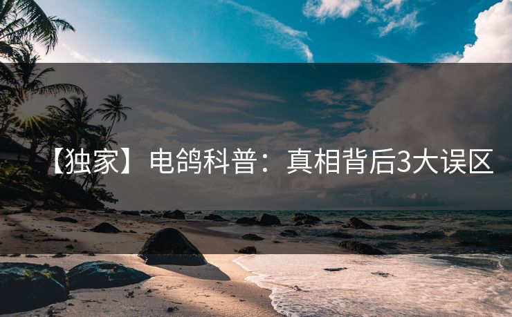 【独家】电鸽科普：真相背后3大误区