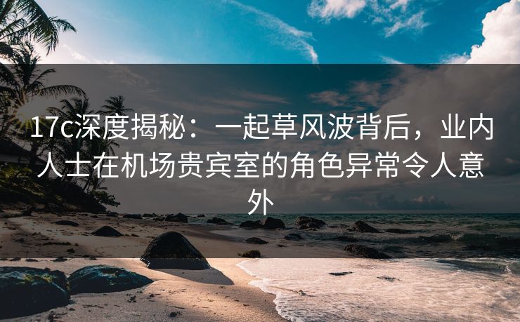 17c深度揭秘：一起草风波背后，业内人士在机场贵宾室的角色异常令人意外