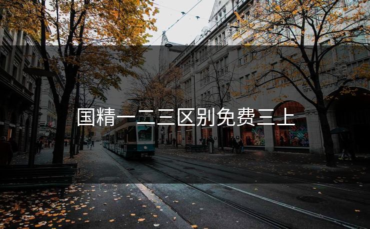 国精一二三区别免费三上